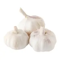 农家自种紫白皮大蒜可吃可种产地直发