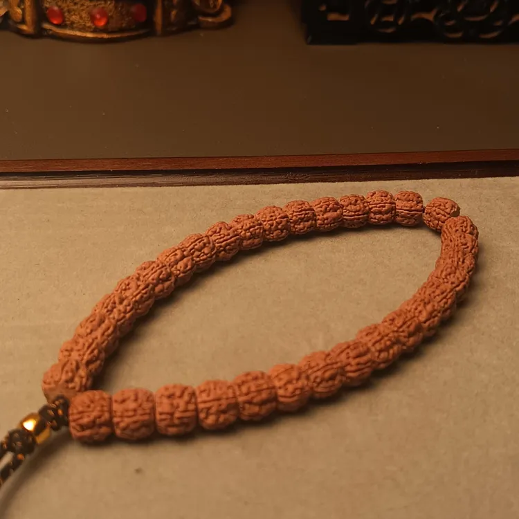 藏切1.0一代龙（小金刚中的天花板）