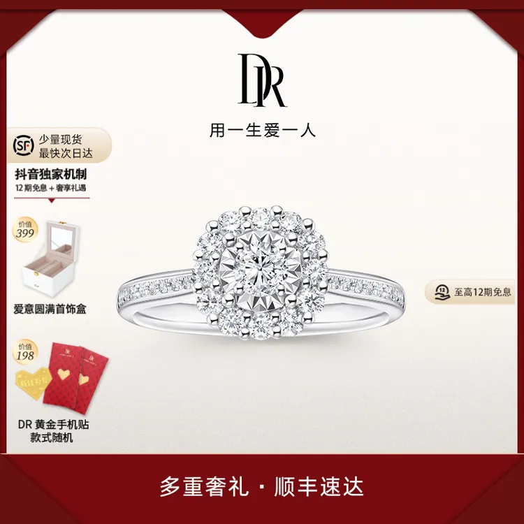 【12期免息】DR钻戒热销款捧花戒轻奢圆钻求婚钻戒正品真钻WJ0192商品图