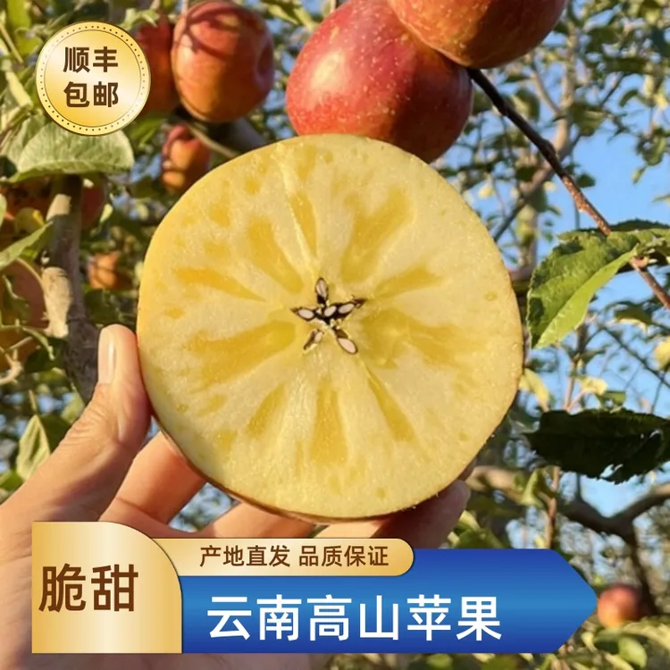 【双旦浮力】云南高山苹果当季新鲜丑苹果昭通野生苹果脆甜多汁
