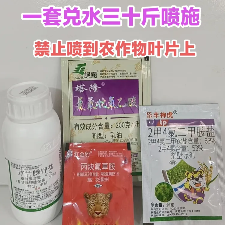 【金赞农选】构树小灌木杂草烂根除草剂草甘膦氯氟吡氧乙酸草铵膦