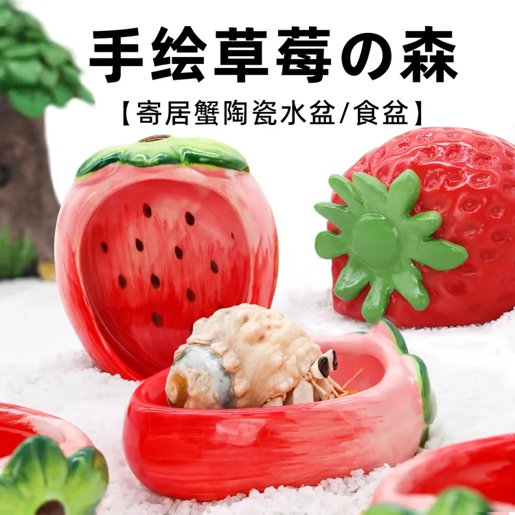 寄居蟹草莓水盆食盆～泡澡盆陶瓷盆防倾倒易清洗可爱造景用品