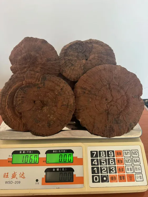 中号-广西高海拔枫树椴木防野生种植整朵紫灵芝干货可泡水泡9泡茶
