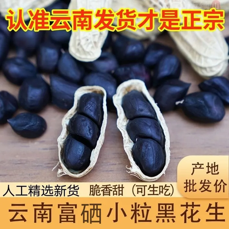云南特产西双版纳2025新货带壳黑花生富硒黑花生种子黑花生米包邮