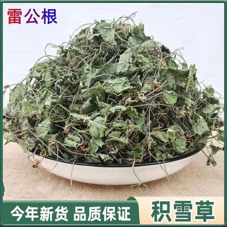 广西野生积雪草100g-500g雷公根地钱草马蹄草崩大 落得打非桑叶