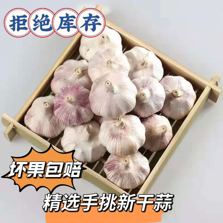 25年新干蒜】大蒜头新鲜紫白皮蒜可种农家自种大蒜