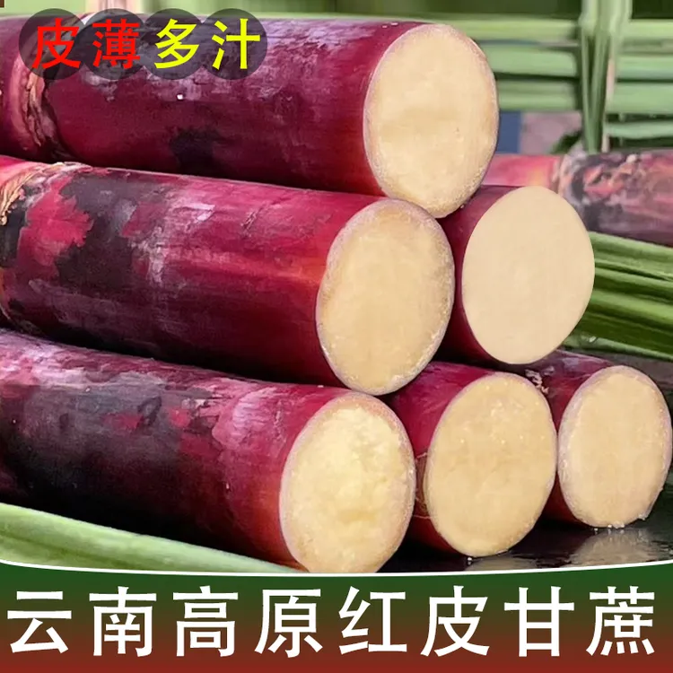 云南老品种红皮甘蔗中段长节爆甜多汁纯天然非黑皮新鲜水果甘蔗