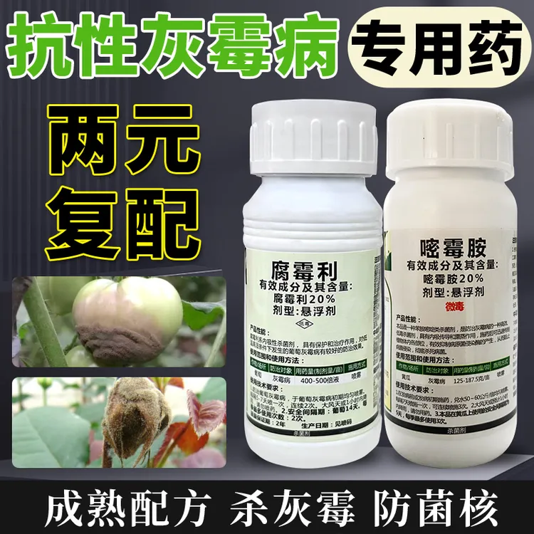 灰霉病专用药腐霉利嘧霉胺番茄黄瓜辣椒白菜油菜菌核病杀菌剂