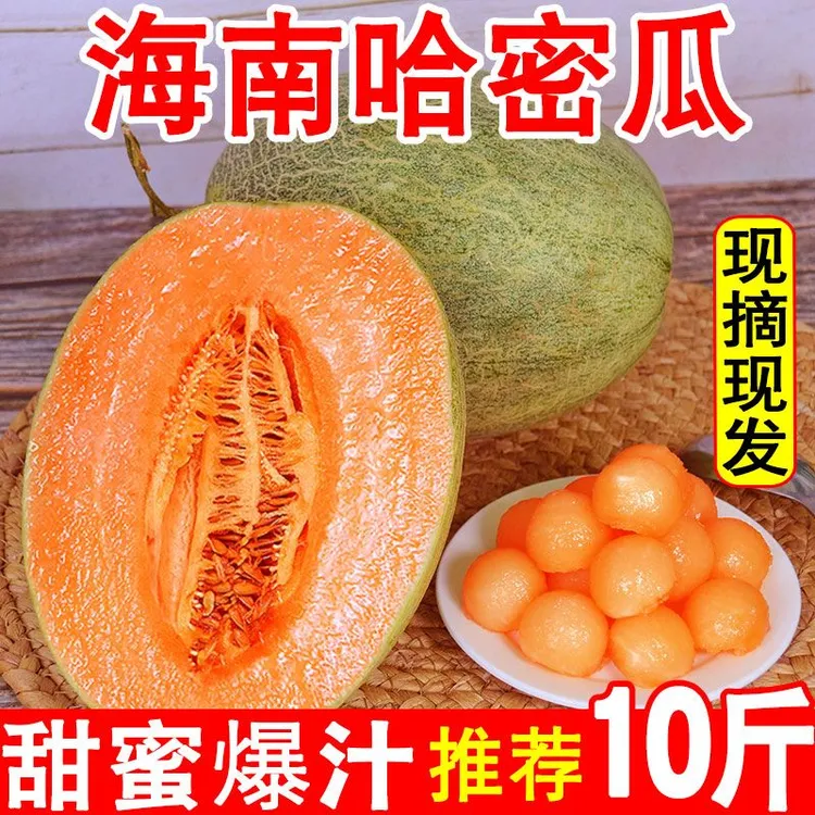海南沙地小蜜25产地新鲜西州蜜哈密瓜当季脆甜多汁应季水果