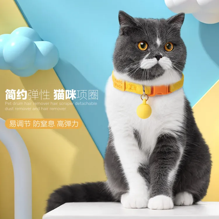 高弹力撞色可调节猫狗项圈适用于小型犬猫装饰宠物项圈