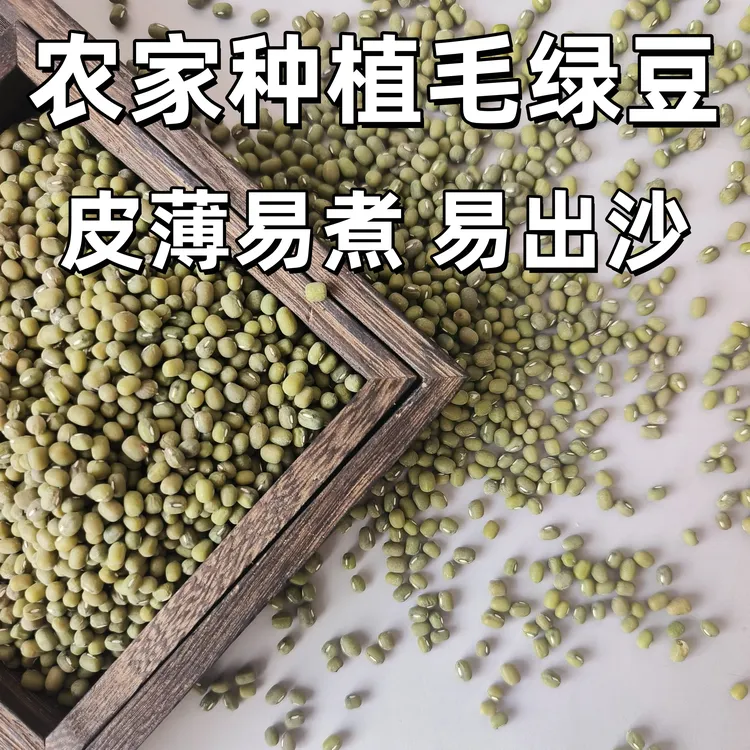 【25年新绿豆】精选正宗绿豆天然健康粗粮毛绿豆绿豆汤夏季糖水当季