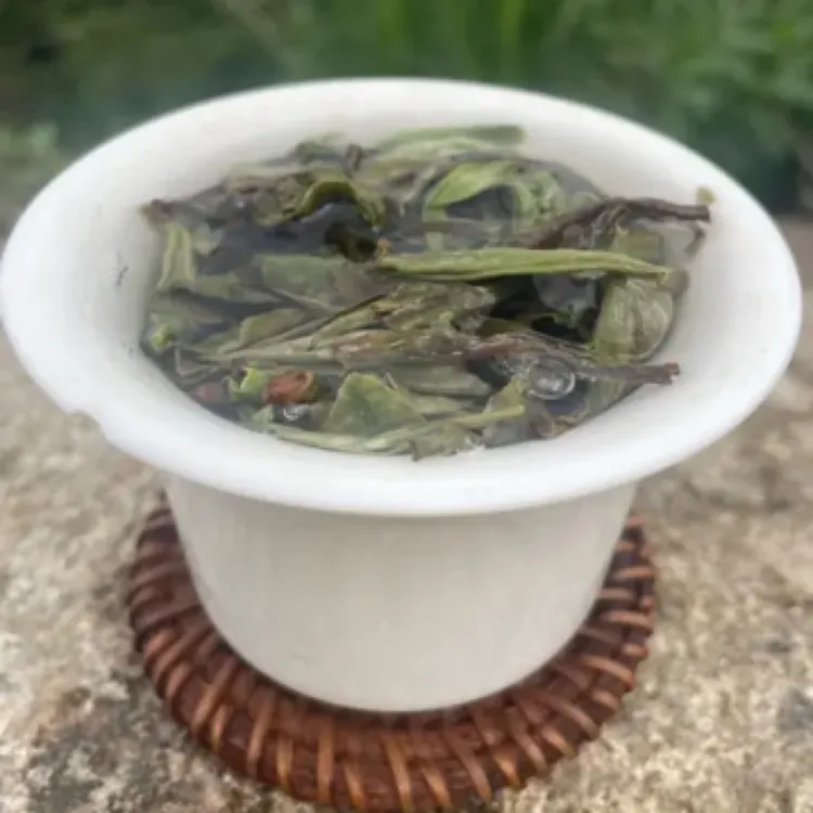 凤七一芽一叶花香白牡丹白茶春茶花香毫香馥郁滋味香甜