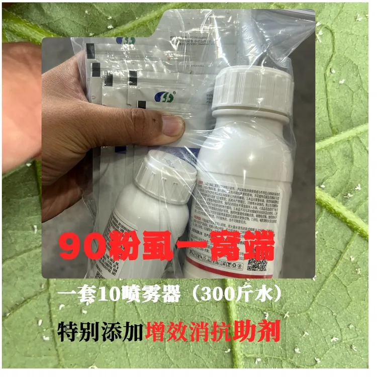 90粉思一窝端成虫若虫卵（10桶水）家用卫生杀虫剂