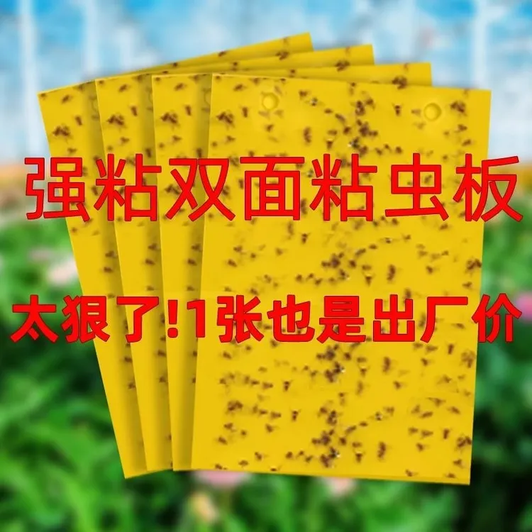 双面强力诱虫黄板贴纸粘捕小飞虫果蝇蚊子苍蝇诱捕器适用于果园大
