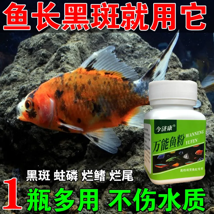 万能鱼粉金鱼黑斑红斑水霉白点白毛立鳞蒙眼凸眼烂尾烂鳍养鱼专用