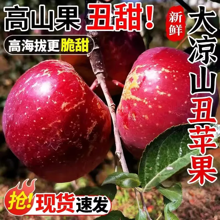 四川大凉山盐源丑苹果新鲜现摘脆甜多汁高山糖心孕妇儿童水果JD9