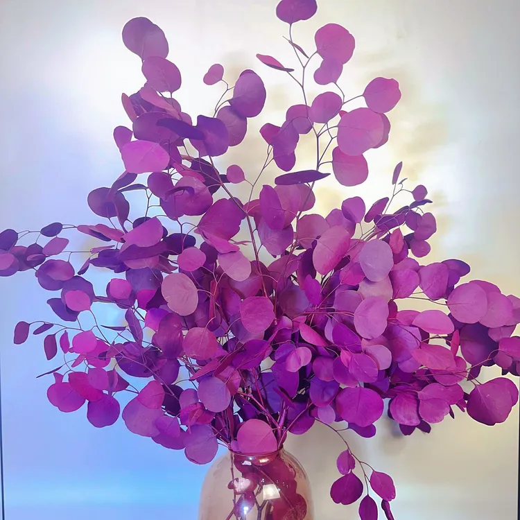 紫红色桌面苹果尤加利叶花材可做干花永生花增添家居氛围感