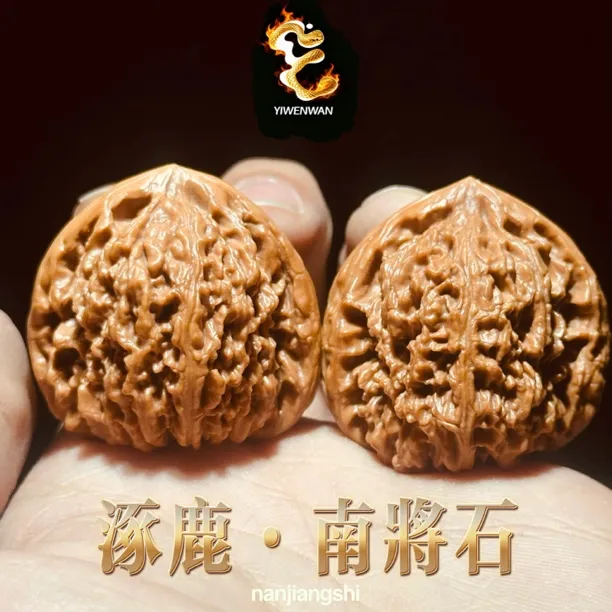 YIWENWAN-涿鹿【南将石】2025文玩核桃一代嫁接修尖