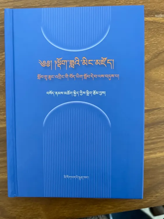 藏语文反义词词典