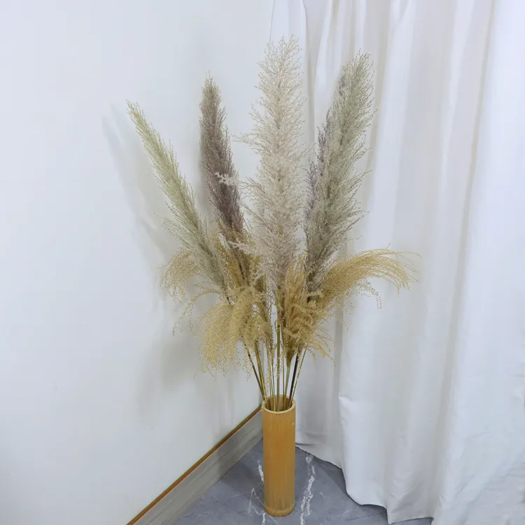 真实芦苇草干花包复古装饰插花真花原枝摆件原色花束落地客厅摆设