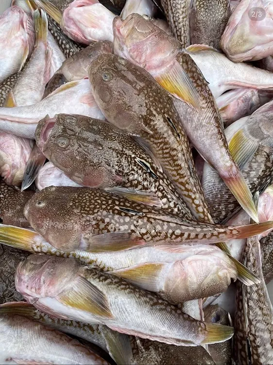 广东惠来神泉本港煲汤就用卢豚乖（大头丁）奶白色的汤汁回味无穷。