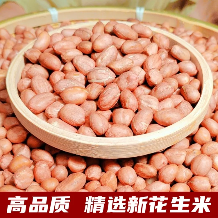 【2025年新上市】新鲜花生米生5斤/3斤大大颗粒河南农家生鲜农产品