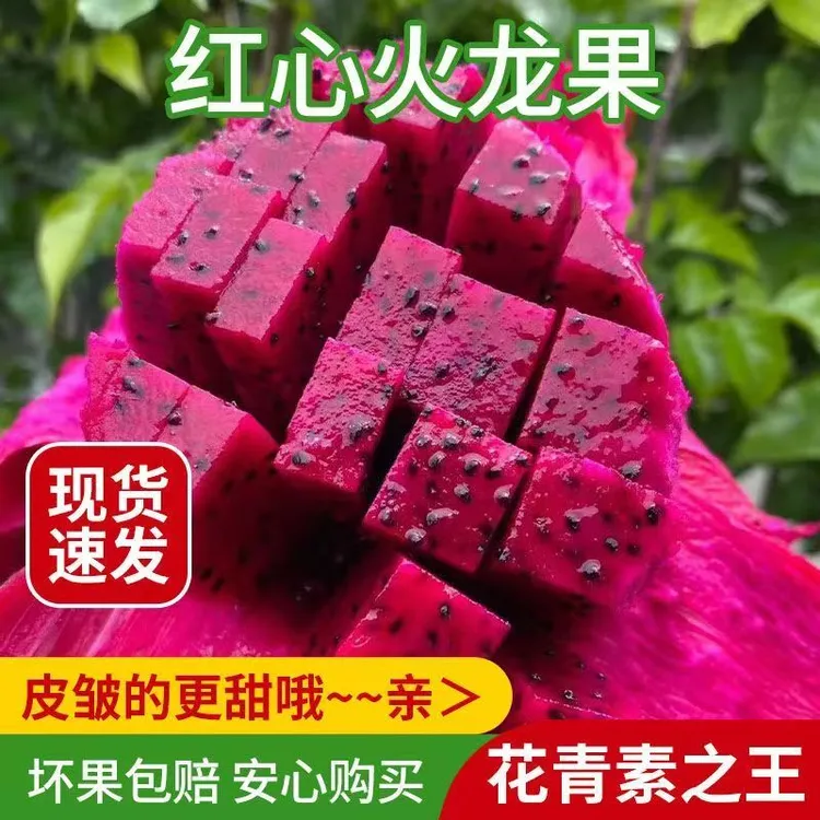 （卓影生活）应季广西金都一号红心火龙果爆甜当季水果(会有皮皱)