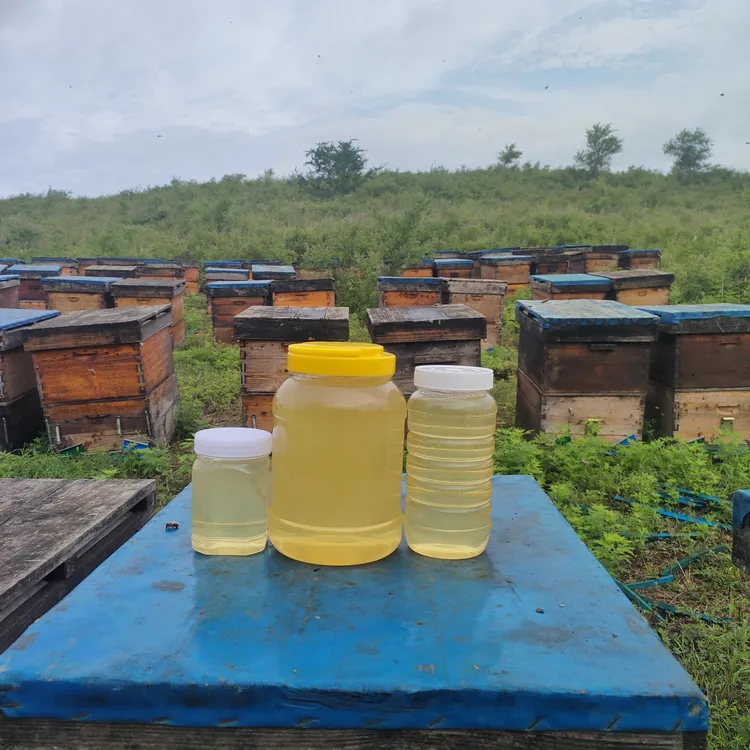 荆条蜜农家自产自销纯正自然成熟原蜜2025年箱新蜜