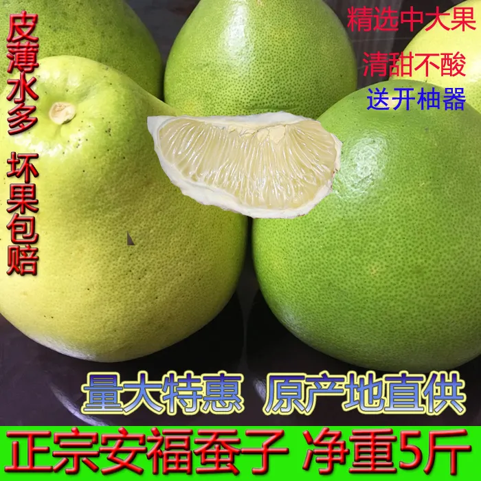 正宗安福蚕子江西特产萍乡蚕子吉安金兰柚横龙武功山柚子 5斤包邮