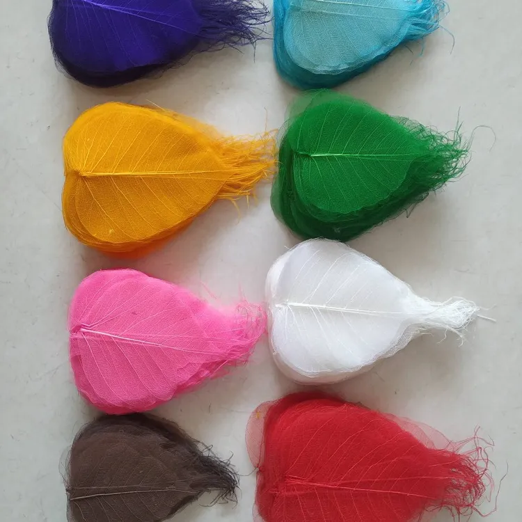 菩提叶脉真树叶子彩色白色网状树叶的书写绘画材料收藏手工花材