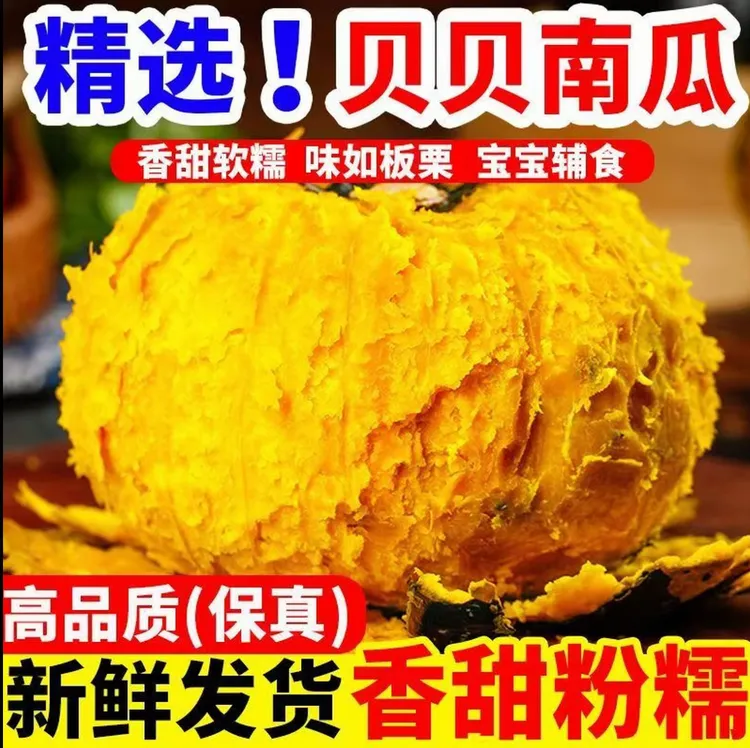 正宗贝贝南瓜粉糯香甜饱腹板栗味适合宝宝辅食粗粮女装代餐