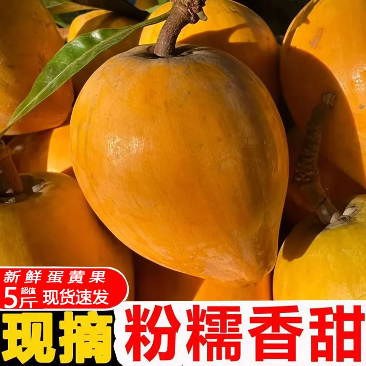 云南老树鸡蛋果蛋黄果新鲜软糯香甜热带应季水果新鲜整箱批发价