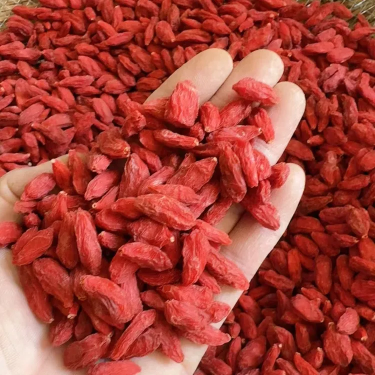 宁夏中宁夏头茬正宗新货枸杞子