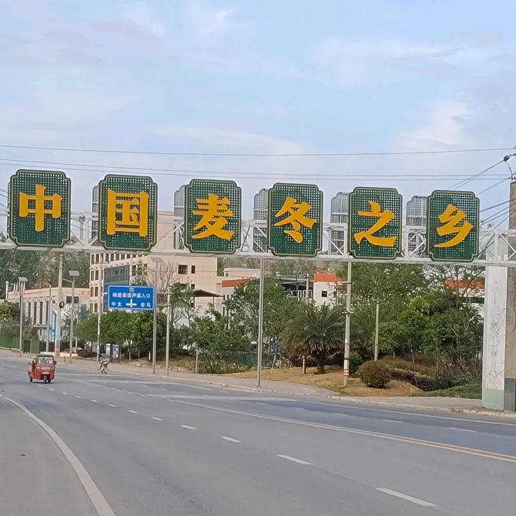 正宗川麦冬  原产地直发  原色无硫 无熏 无添加