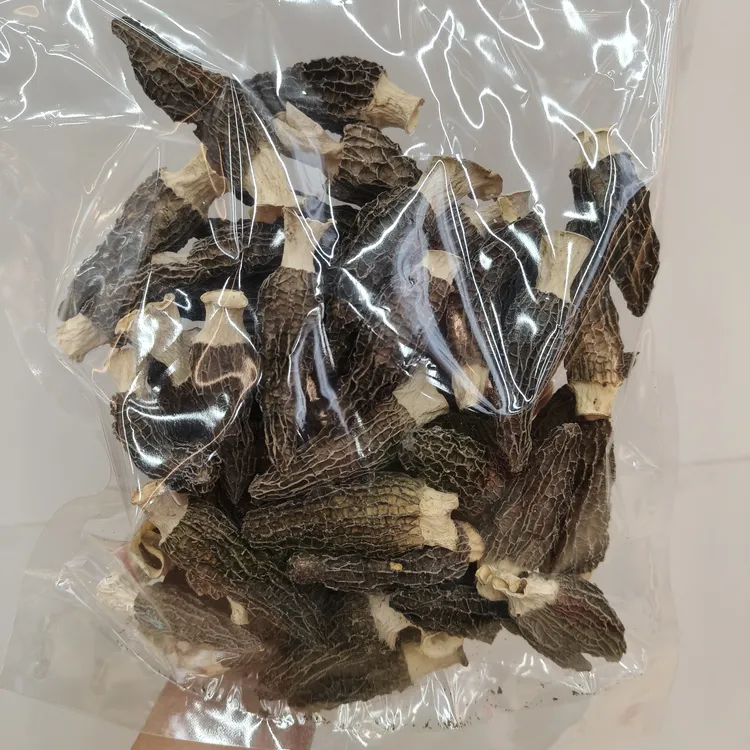 云南香格里拉优六妹羊肚菌