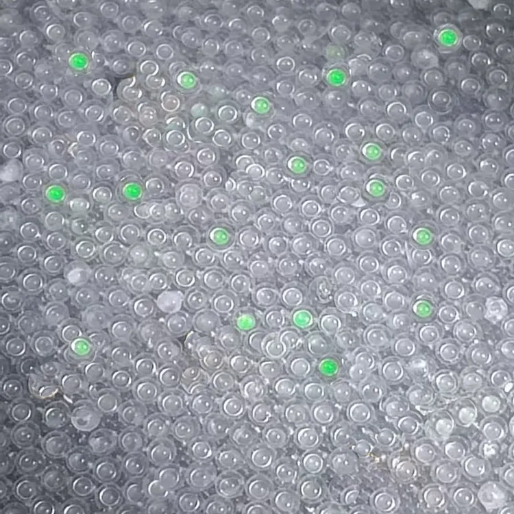 长鳍蝶翼斑马鱼卵小型观赏鱼鱼蛋七彩糖果观赏鱼热带鱼卵混色