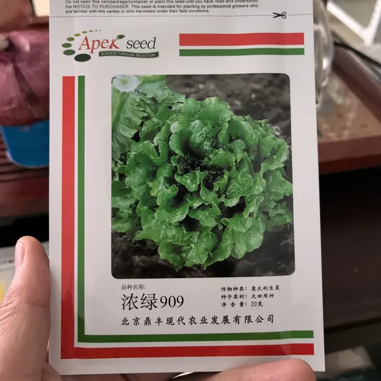 鑫红麟浓绿909生菜，浓绿色，口感甜脆，卖相美观，春秋种植