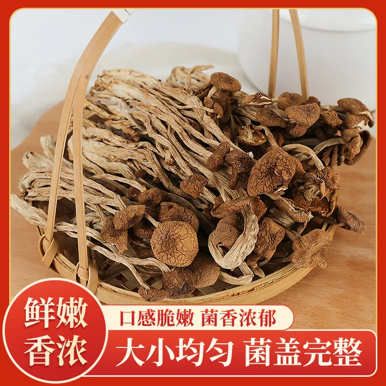 五为茶树菇250g农家茶树菇干货不开伞茶无硫熏菌菇脆脆菇煲汤批发