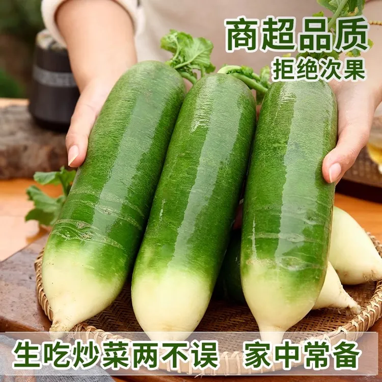 水果萝卜甜脆可口营养丰富正宗潍坊沙窝水果萝卜可生吃农家青萝卜