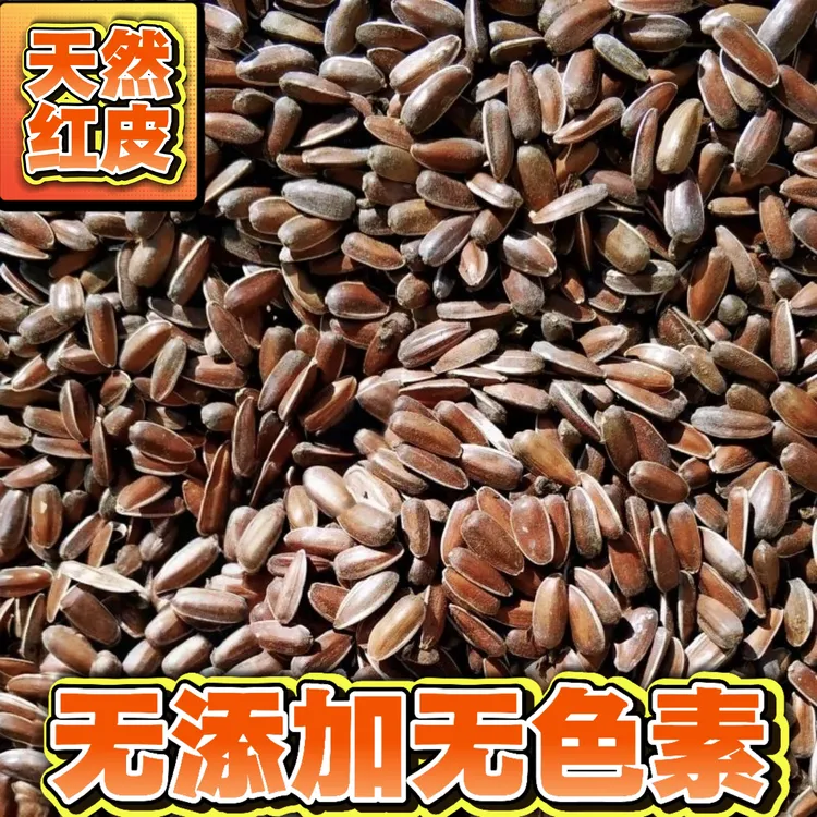 云南山地红皮生瓜子高原天然山地葵花籽香甜软糯零食牙签颗粒
