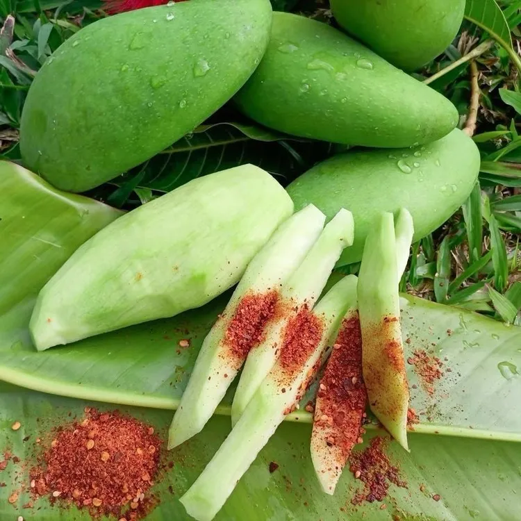 海南象牙芒生吃酸芒果5斤新鲜孕妇水果酸脆四季芒象牙芒青芒果