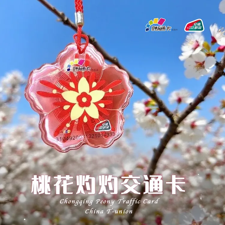 【繁花系列】桃花灼灼透明异形卡 重庆畅通卡 全国通用 