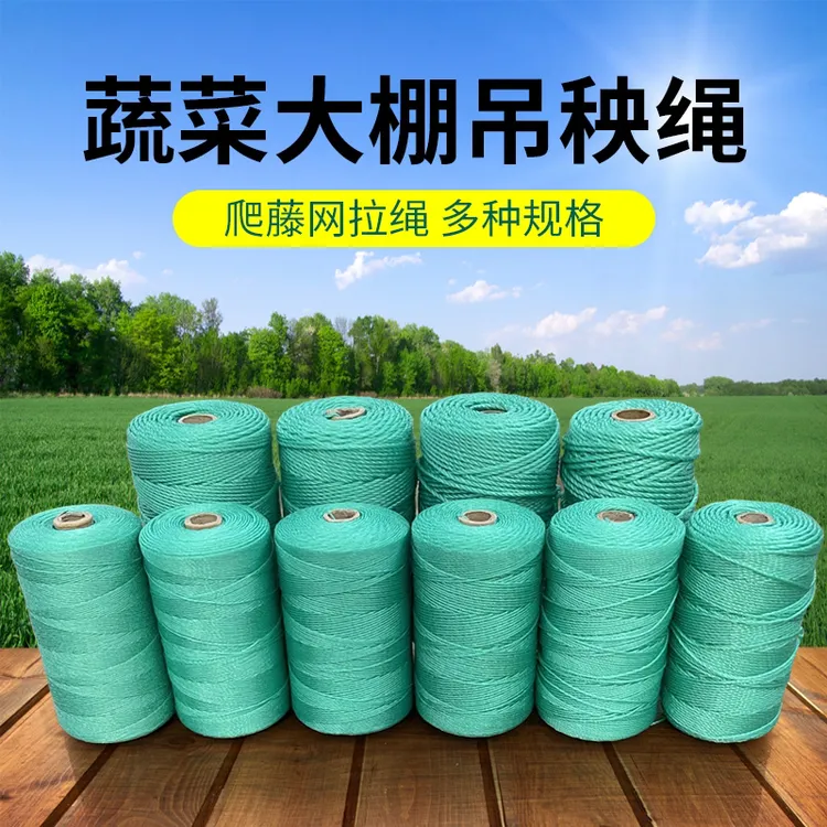 大棚吊秧绳尼龙材质拉绳聚乙烯塑料绳用于果蔬爬藤西红柿豆角吊蔓