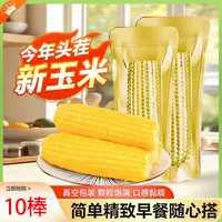 【可试吃2根】10支黄糯玉米正宗东北甜糯玉米真空粘糯玉米280-350克