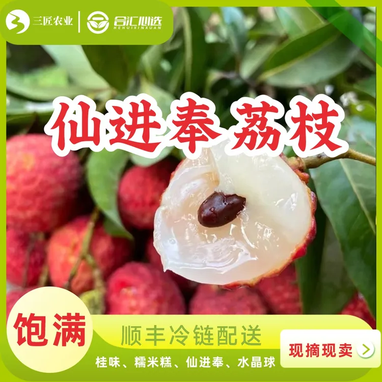 广东新鲜荔枝正宗增城仙进奉荔枝新鲜现摘冷链发货尝鲜荔枝直播