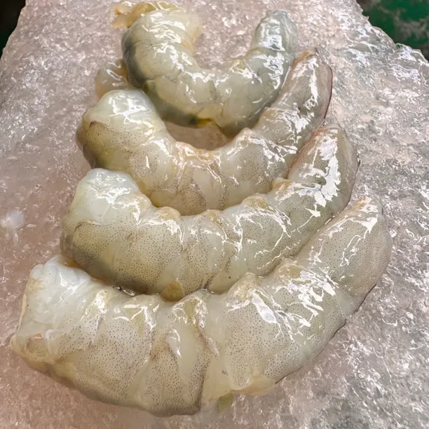 麻虾沙卢虾纯虾仁海虾鲜虾仁减脂餐0添加半斤一盒 博贺港顺丰直发