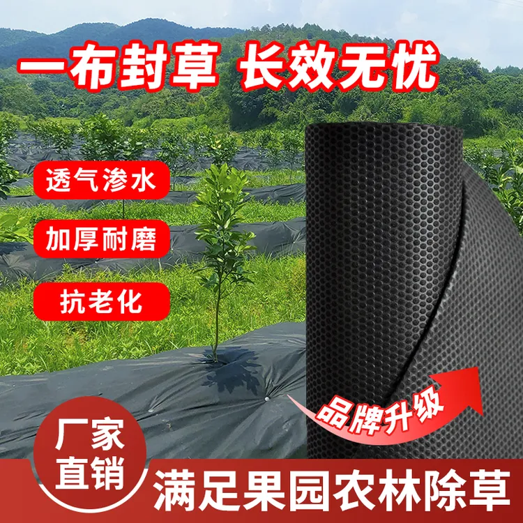 果园果树农用防草布防晒耐用透气渗水保湿薄膜