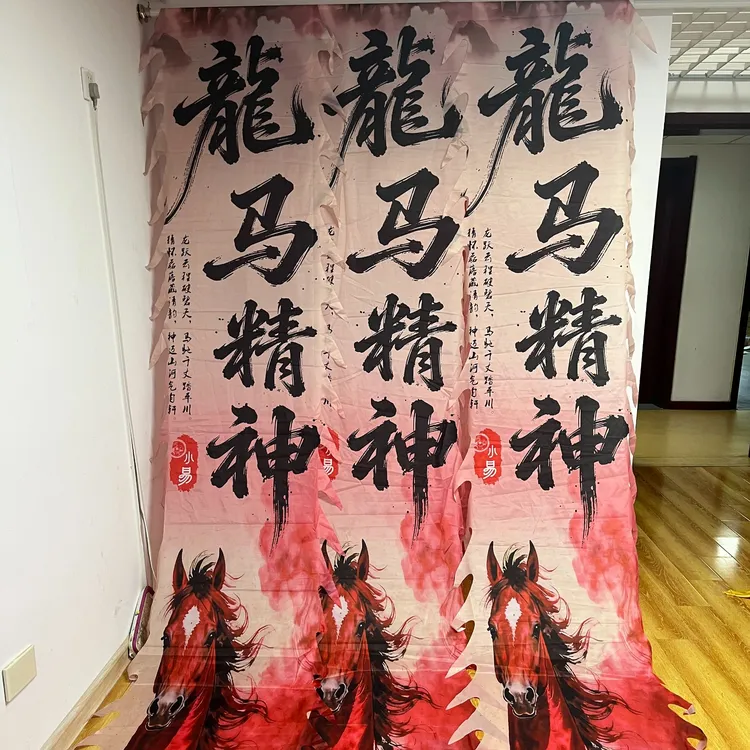 精美彩绸可水洗单独龙衣舞龙