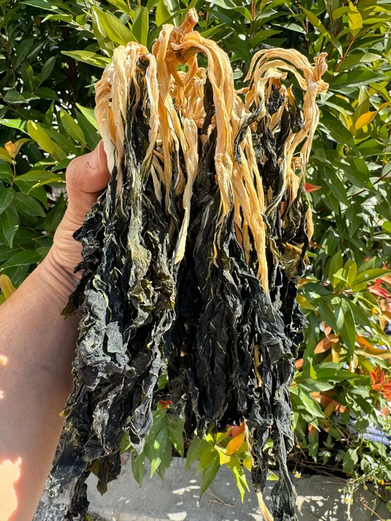 广东信宜农家自然晒干无盐小白菜干