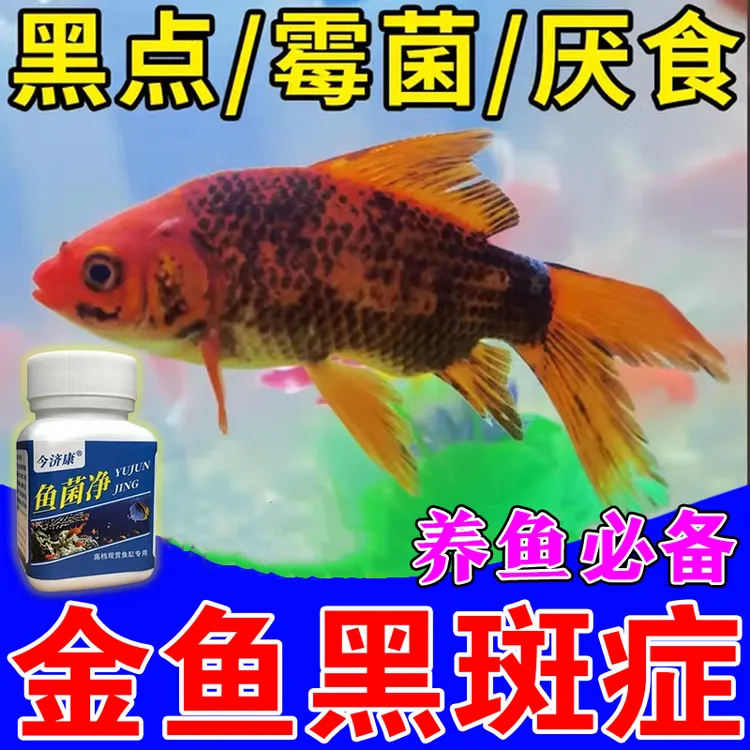 今济康鱼菌净金鱼黑斑黑点厌食霉菌水族专用高纯度精粉温和不伤鱼